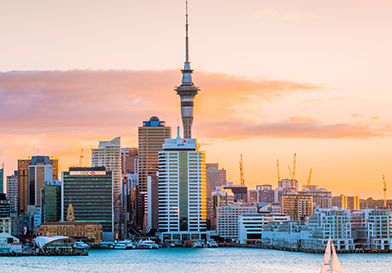 New Zealand universities